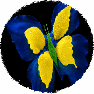 Optimum Health Telehealth Your Wellness Resource