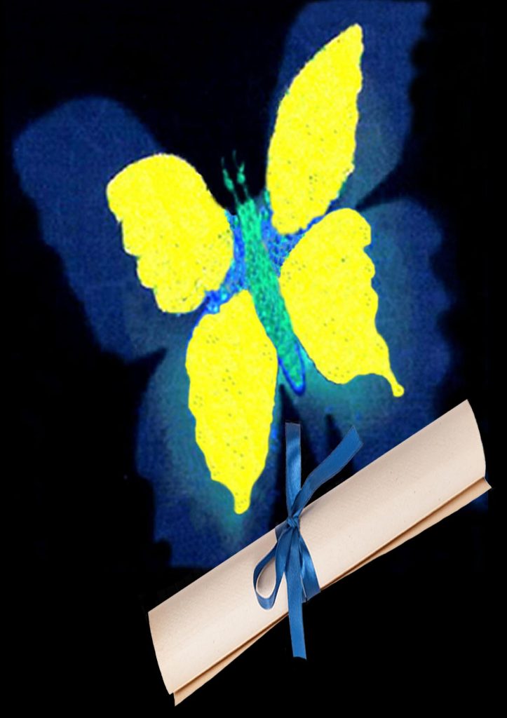 Optimum Health's Certifications Offered