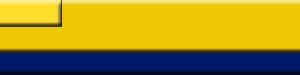 Bar for Website
