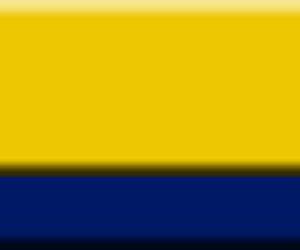 Bar for Website