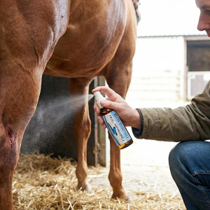Premium Optimum You Colloidal Silver for Pets, 500 ppm is a great equine colloidal silver.