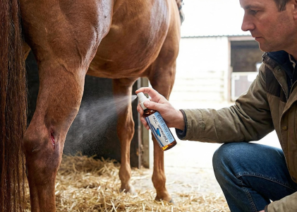Premium Optimum You Colloidal Silver for Pets, 500 ppm is a great equine colloidal silver.