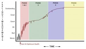 ALL PHASES - CLIENT PERSPECTIVE
