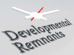 Developmental Remnants