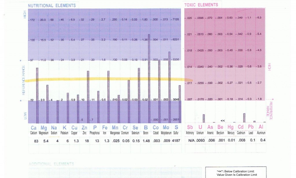 HAIR ANALYSIS REPORT BEFORE