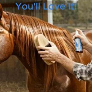 Premium Optimum You Colloidal Silver for Pets, 500 ppm is a great equine colloidal silver.
