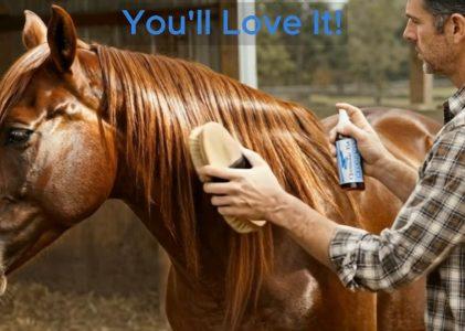 Premium Equine Colloidal Silver
