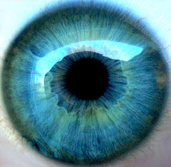 Blue Eye Iris