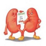 KIDNEYS: PASS OR FAIL?