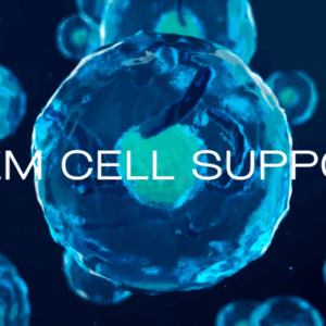 Stem Cell Support