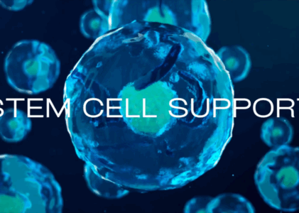Stem Cells – Definition