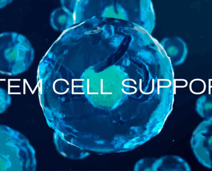 Stem Cell Support