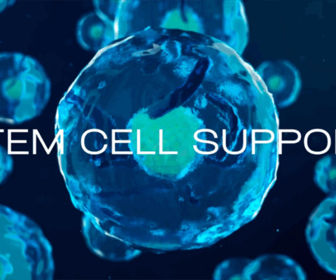 Stem Cell Support