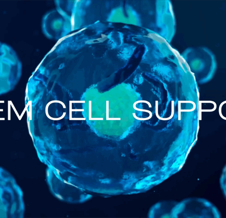 Stem Cell Support
