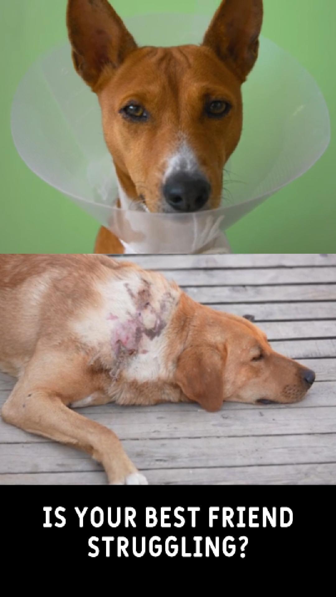 Optimum Health Natural Healthcare