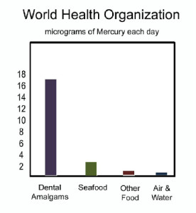 World Health Organization on Mercury