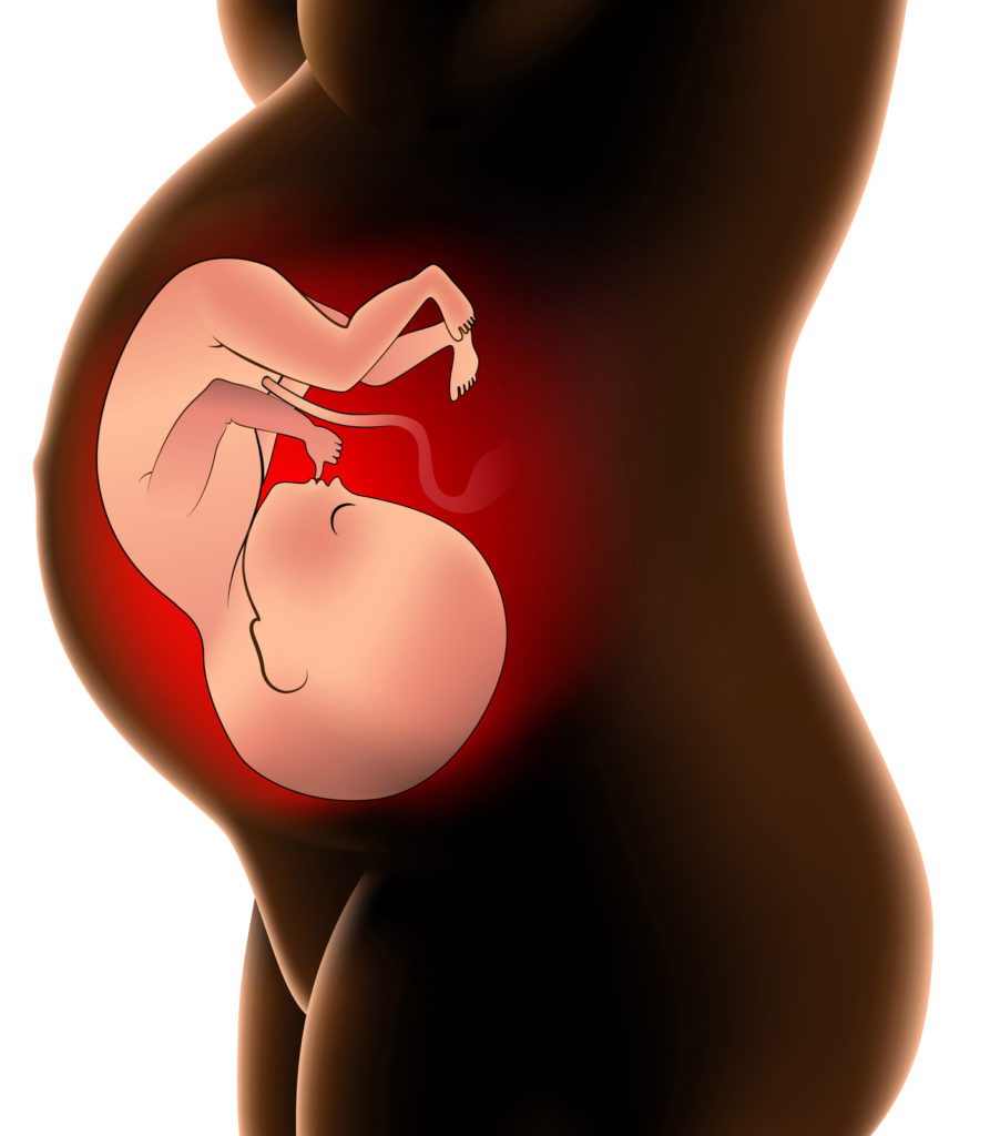 pregnant woman with fetus in womb