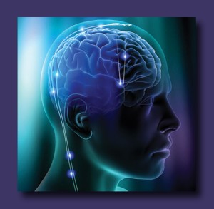 Neurotransmitters at Work!