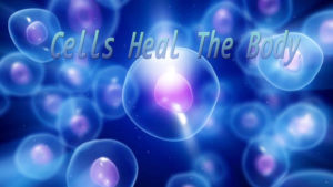 Cells Heal The Body