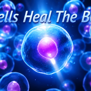 Cells heal the body.