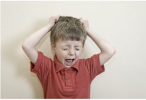 Terrible Twos Meltdown