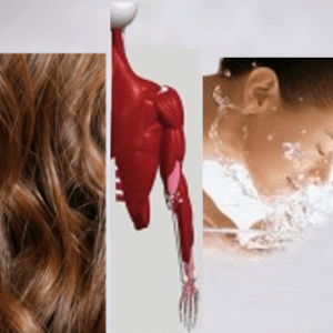 Protein for healthy muscles, hair, and skin.