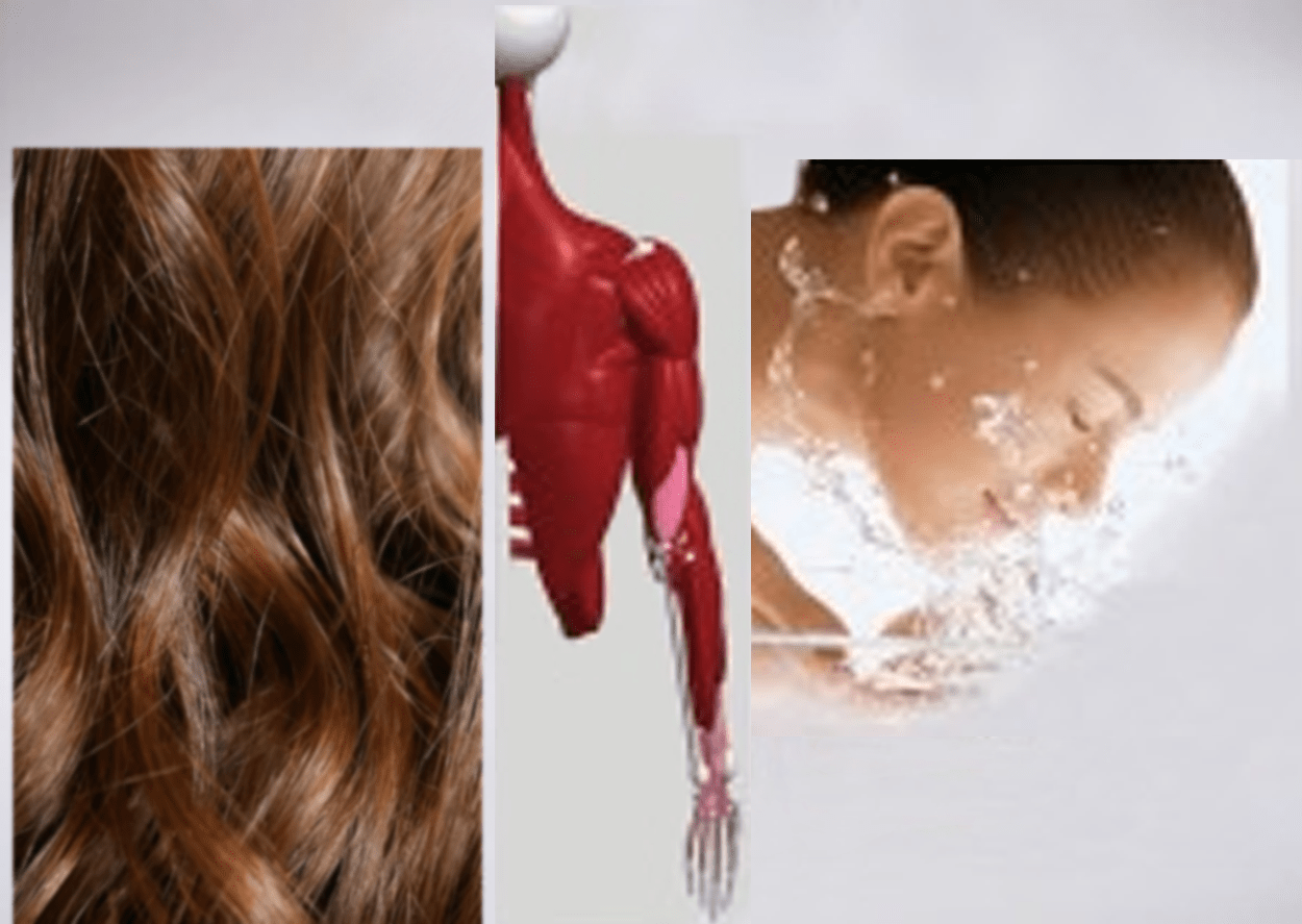 Protein for healthy muscles, hair, and skin.