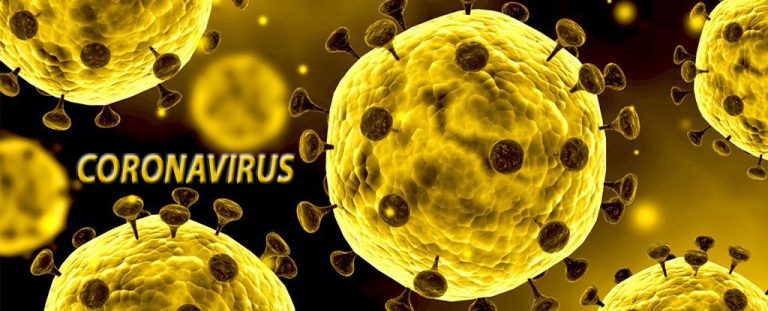 Coronavirus Exposure Survival
