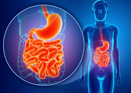 Good Bacteria & Gut Flora