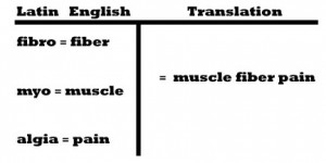 fibromyalgia - latin to english breakdown