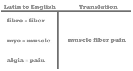 fibromyalgia - latin to english breakdown - GRAY