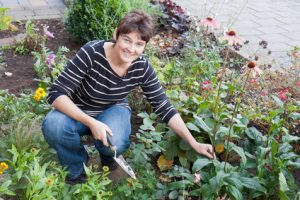 Gardening in a Flower Bed