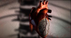 Heart - Widowmaker Heart Attacks