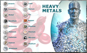 heavy metal toxicity