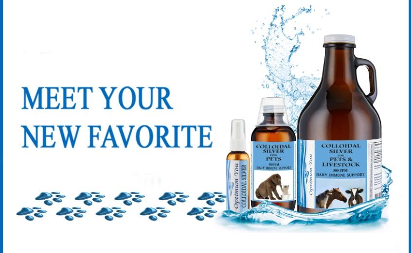 Meet Your New Favorite: Colloidal silver products for pets
