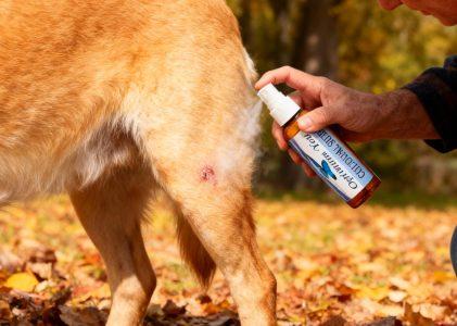 Unparalleled Hotspot Relief for Dogs: Optimum You Colloidal Silver for Pets
