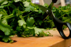 Scissors Cutting Food