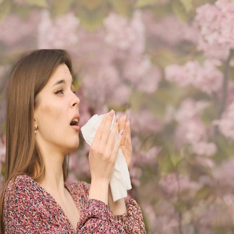springtime sneezes