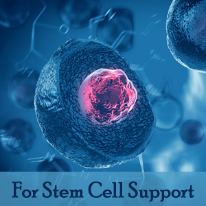 Stem Cell Support