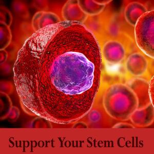 supporting stem cells with colloidal silver 500 ppm
