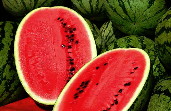 watermelon